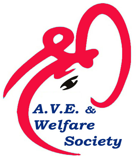 shriashtvinayakacademy.in