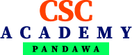 cscacademypandawa.co.in
