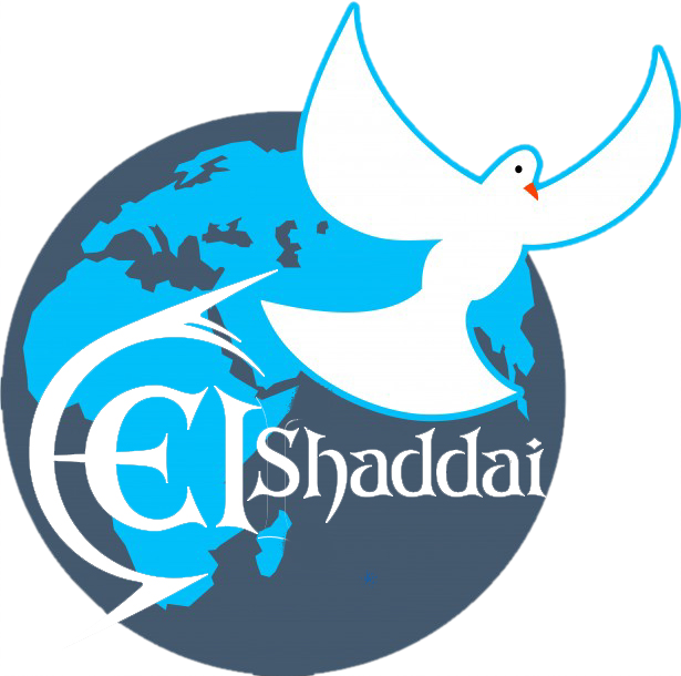 modelexam.online