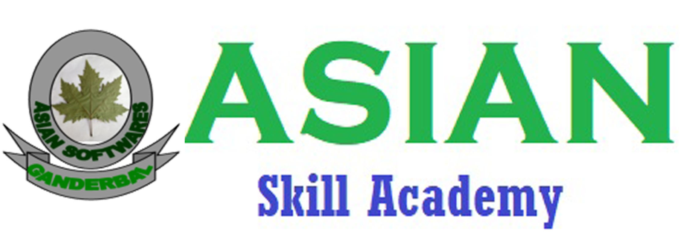 asianskillacademy.co.in