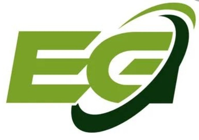 evergreenonlineacademy.co.in