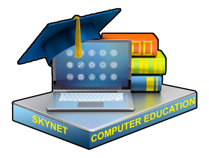 skynetsarkaripariksha.co.in